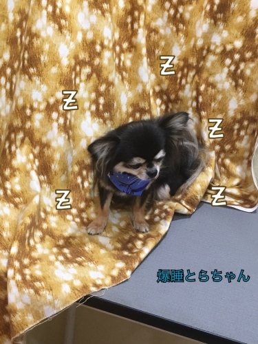 d0269898_22455053.jpeg
