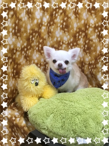 d0269898_22460719.jpeg