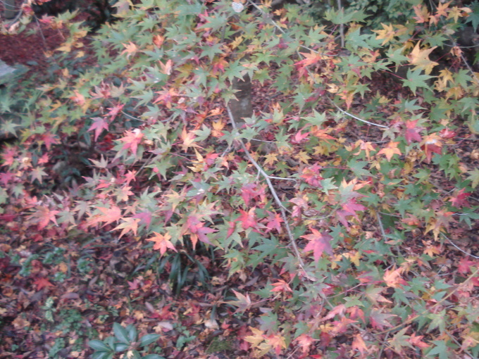 e0353802_20423771.jpg