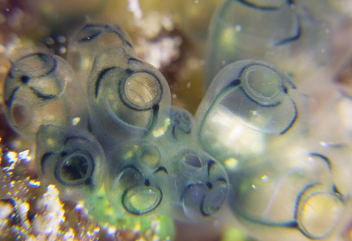 あそっか この人だったわ Blog 海の色は空の色