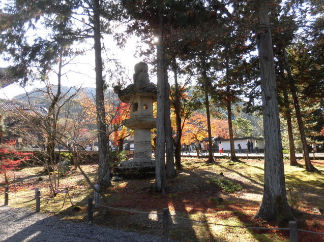 b0035611_19245621.jpg