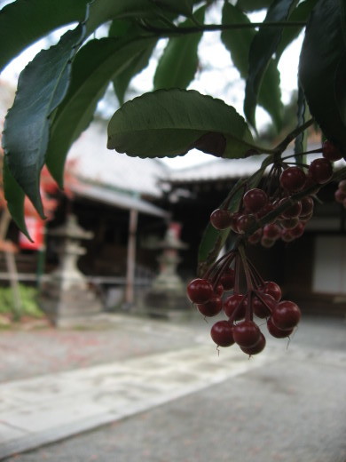 c0062511_21143234.jpg