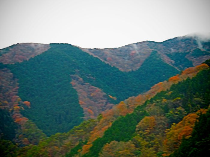 b0130112_11423074.jpg