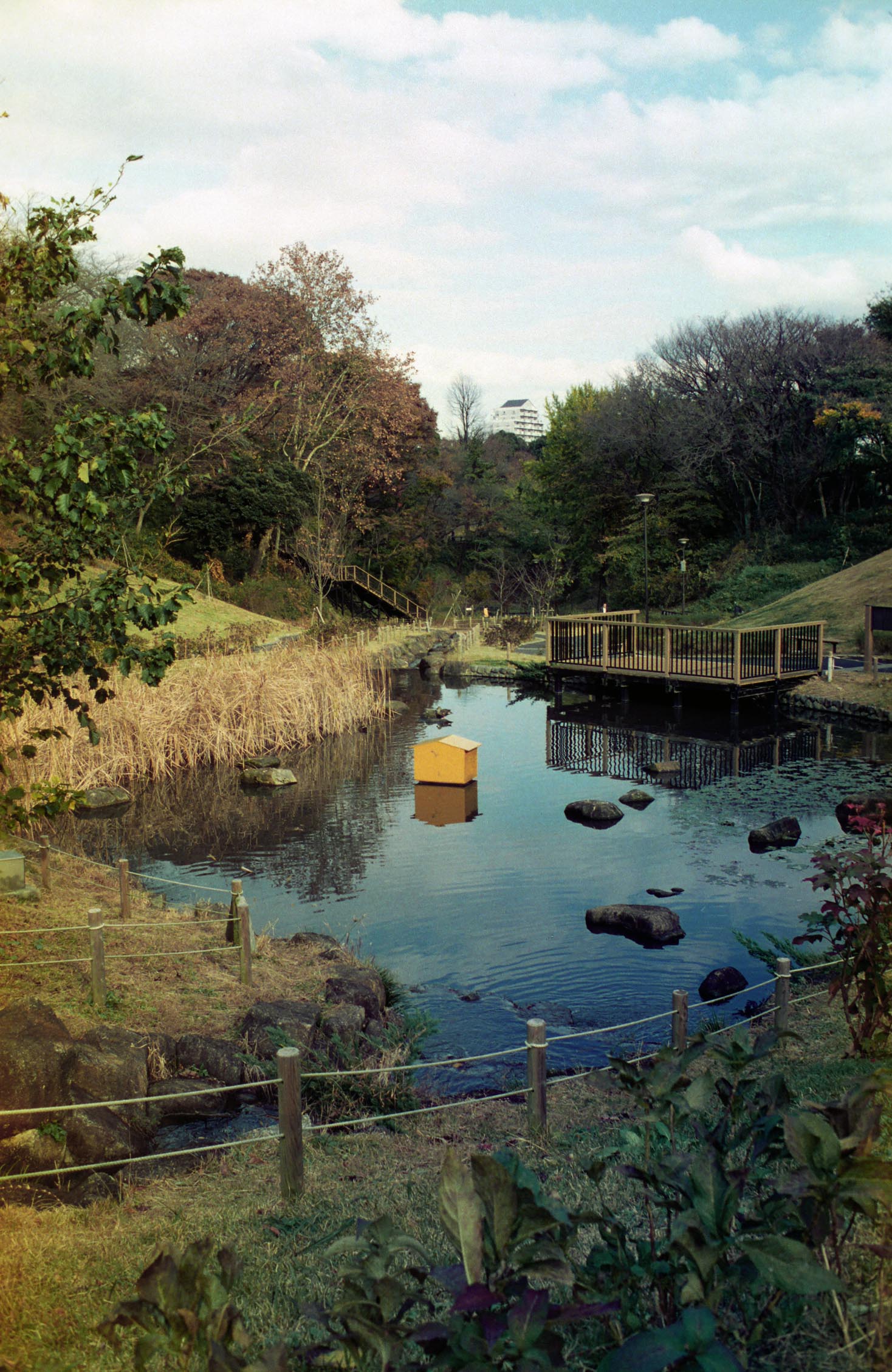 初冬の公園_d0085413_025340.jpg