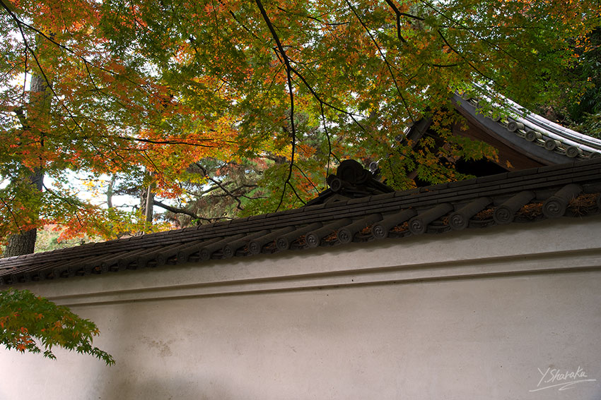 f0344614_2318220.jpg