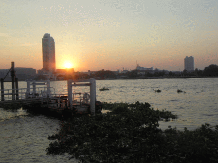b0017215_88879.gif