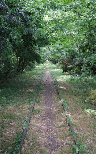 f0215016_23421380.jpg