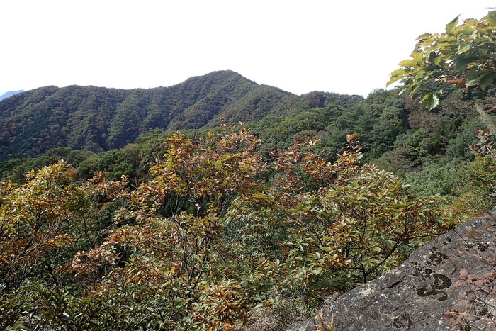 子持山の花　（良）１０月２１日撮影_b0277218_123510100.jpg