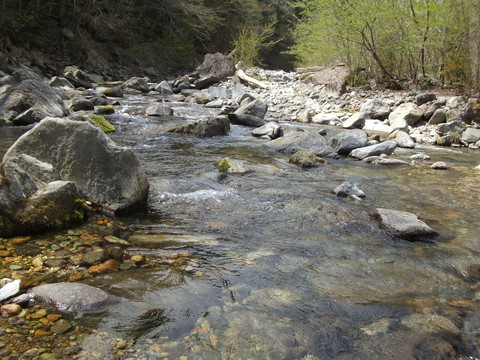 a0279321_1646678.jpg