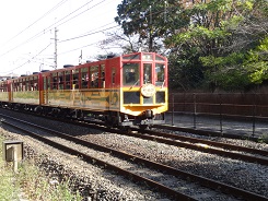 f0000521_8485580.jpg