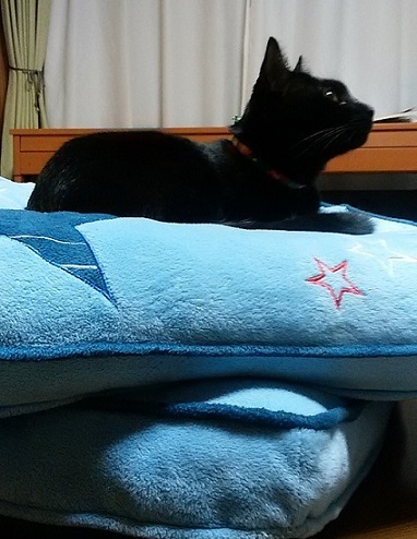 c0280322_16463491.jpg