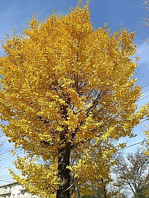 f0354923_21570670.jpg
