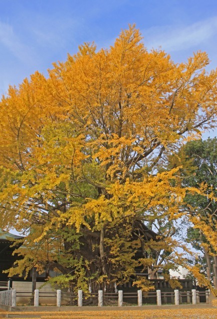 c0104227_13493243.jpg