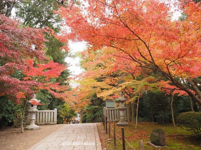 そうだ京都へ行こう２０１６～光明寺の紅葉～☆_f0295238_14144364.jpg