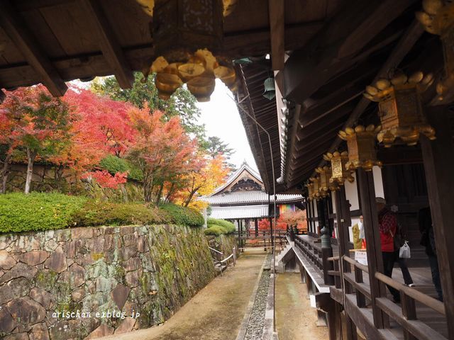 そうだ京都へ行こう２０１６～光明寺の紅葉～☆_f0295238_15465312.jpg