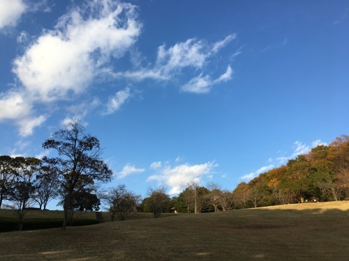 厚木市森の里の若宮公園_b0330040_13240768.jpg