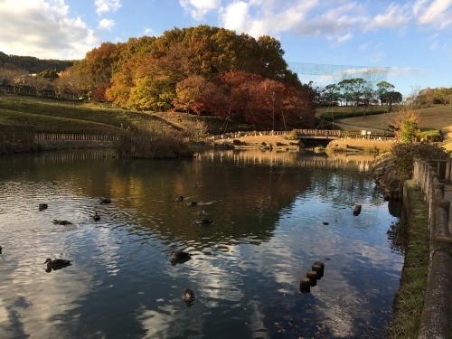 厚木市森の里の若宮公園_b0330040_13253520.jpg