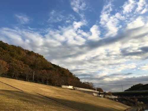 厚木市森の里の若宮公園_b0330040_13281021.jpg