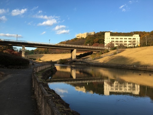 厚木市森の里の若宮公園_b0330040_13293934.jpg