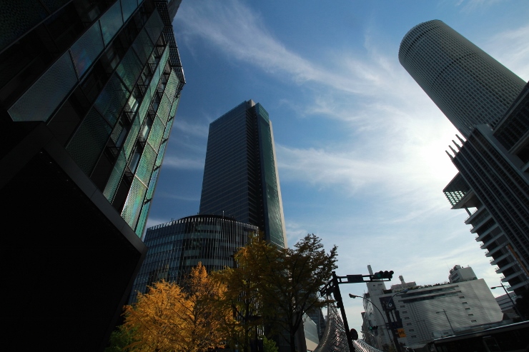 a0120949_6335912.jpg