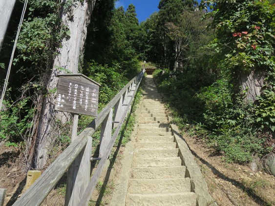 f0202151_20174317.jpg