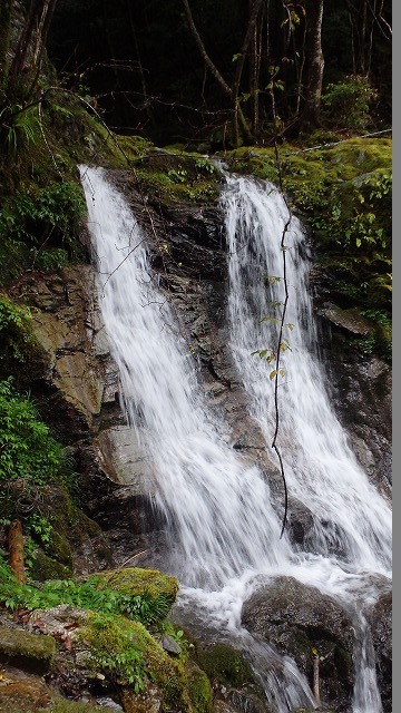 c0097754_15210360.jpg