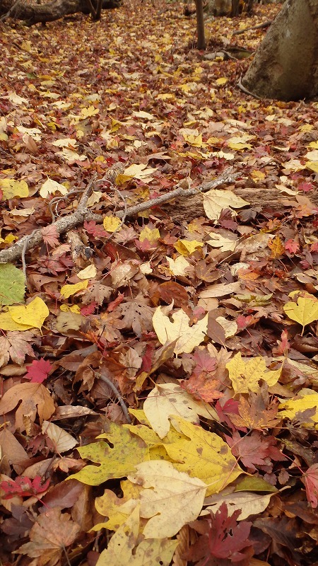c0097754_23212480.jpg