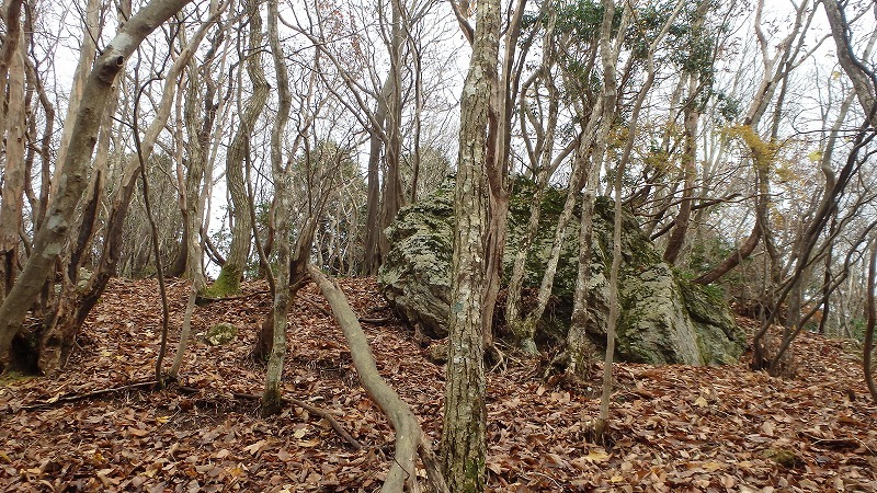c0097754_23215216.jpg