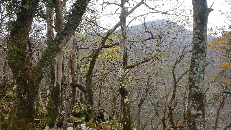 c0097754_23254580.jpg