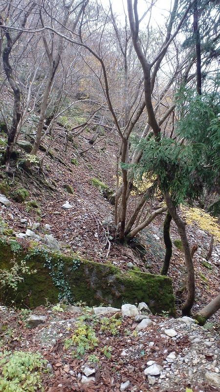 c0097754_23265335.jpg