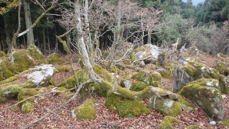 c0097754_23310705.jpg