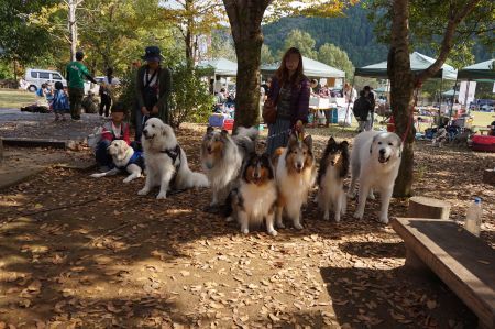 　佐伯　犬祭りに！_a0201257_22141966.jpg