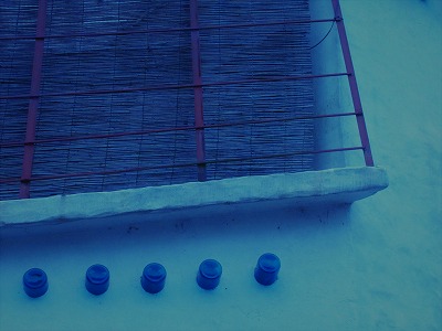 f0072357_556939.jpg