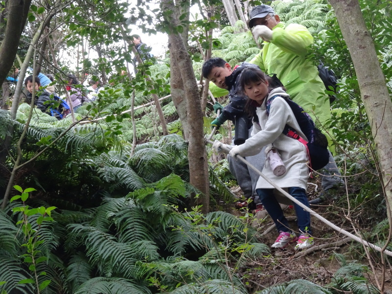 多奈川小学校3年生「孝子の森探検」・・・孝子の森_c0108460_22281778.jpg