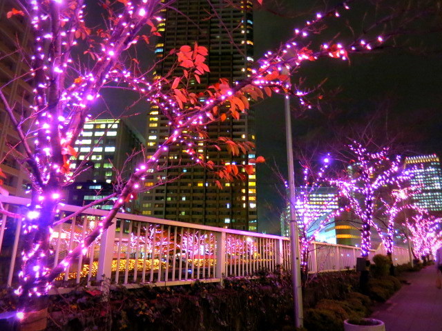 冬の桜＊目黒川イルミネーション・2016_f0236260_21451612.jpg