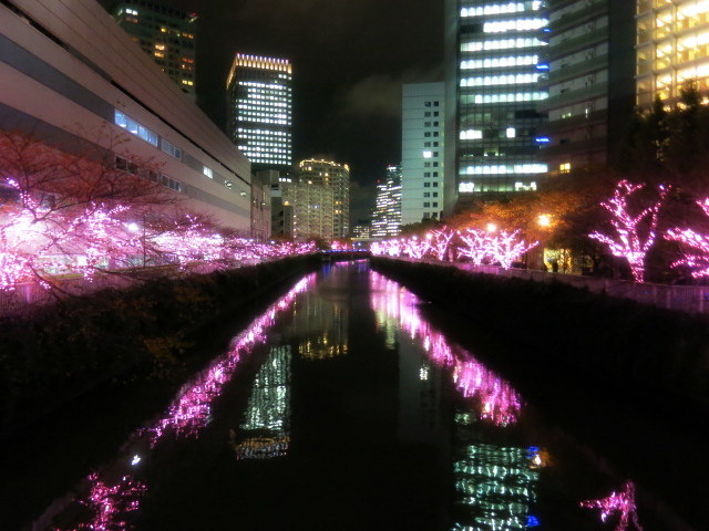 冬の桜＊目黒川イルミネーション・2016_f0236260_21531872.jpg