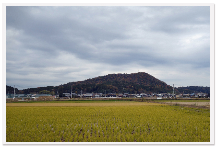 12月のお題　－　「重ね着」_e0031562_16383835.jpg