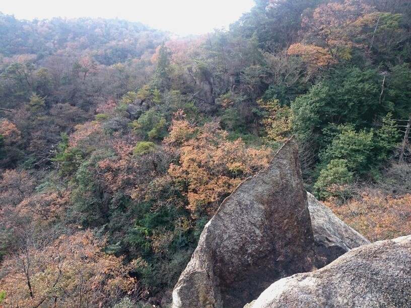c0260463_14214185.jpg