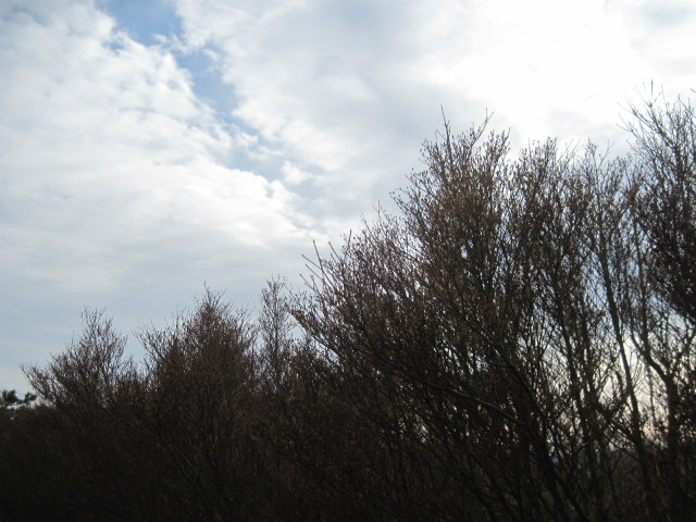 c0219866_17502695.jpg