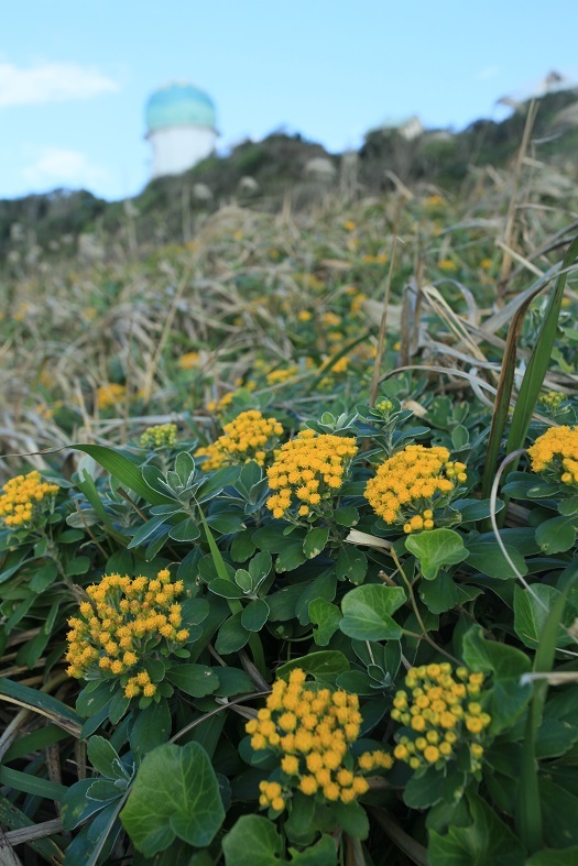 e0304170_22381610.jpg