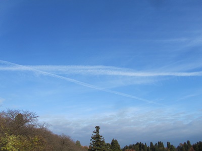 b0149071_1555315.jpg