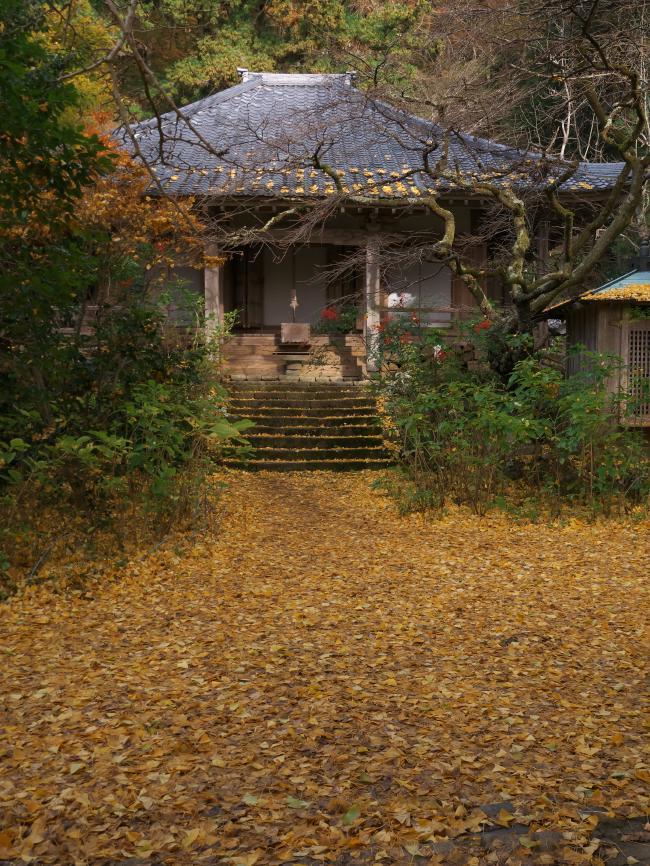 　宇陀・戒長寺　出遅れた秋探し_b0161171_19531061.jpg