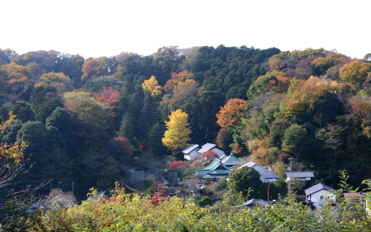 北鎌倉 紅葉2016_e0182674_20514098.jpg