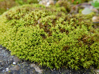 b0057675_12425793.jpg