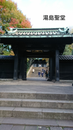 b0224081_23305742.png