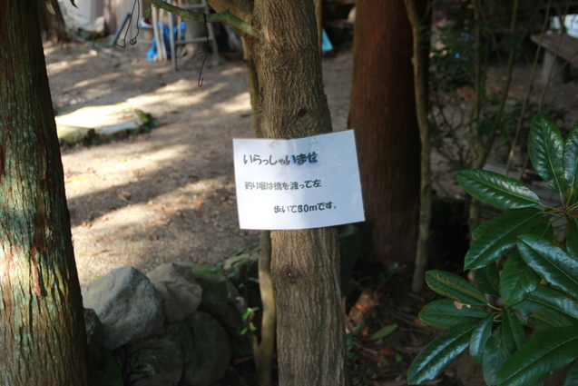 鈍川渓谷の釣り堀 門岡養魚場_f0098083_23225884.jpg