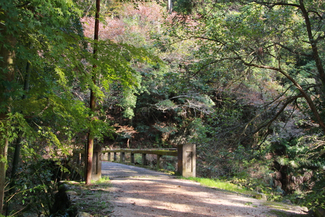 鈍川渓谷の釣り堀 門岡養魚場_f0098083_2324283.jpg