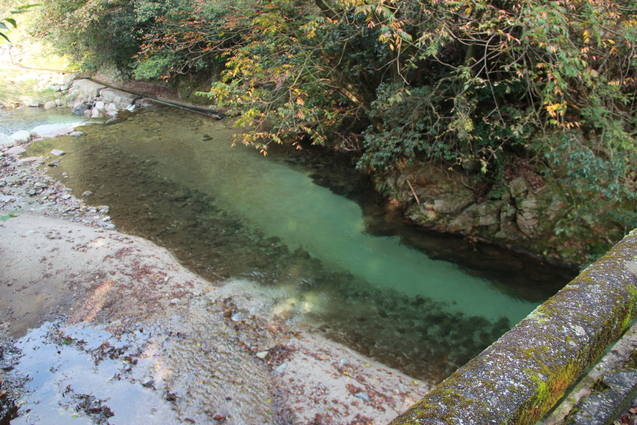 鈍川渓谷の釣り堀 門岡養魚場_f0098083_23244597.jpg