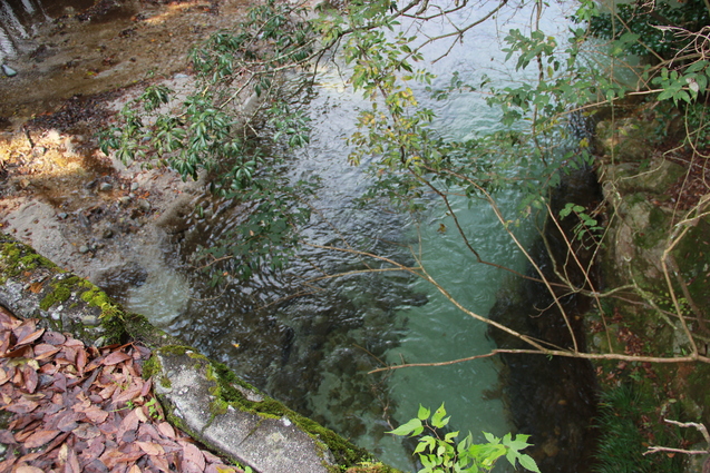 鈍川渓谷の釣り堀 門岡養魚場_f0098083_23262321.jpg