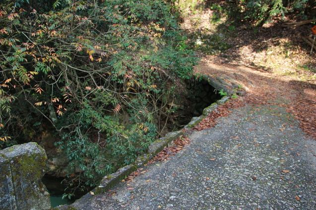 鈍川渓谷の釣り堀 門岡養魚場_f0098083_23265630.jpg
